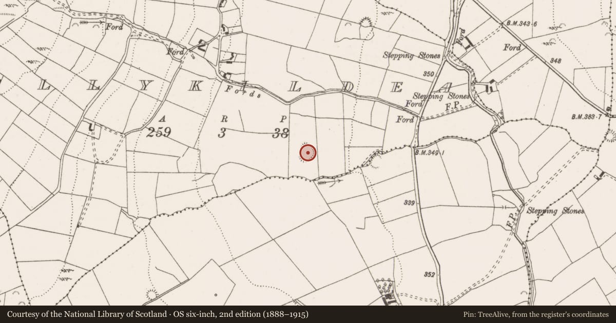 Ordnance Survey six-inch map, 2nd edition (1888–1915) covering the location of Enclosure, Ballykildea, County Clare, with a pin at the register's coordinates