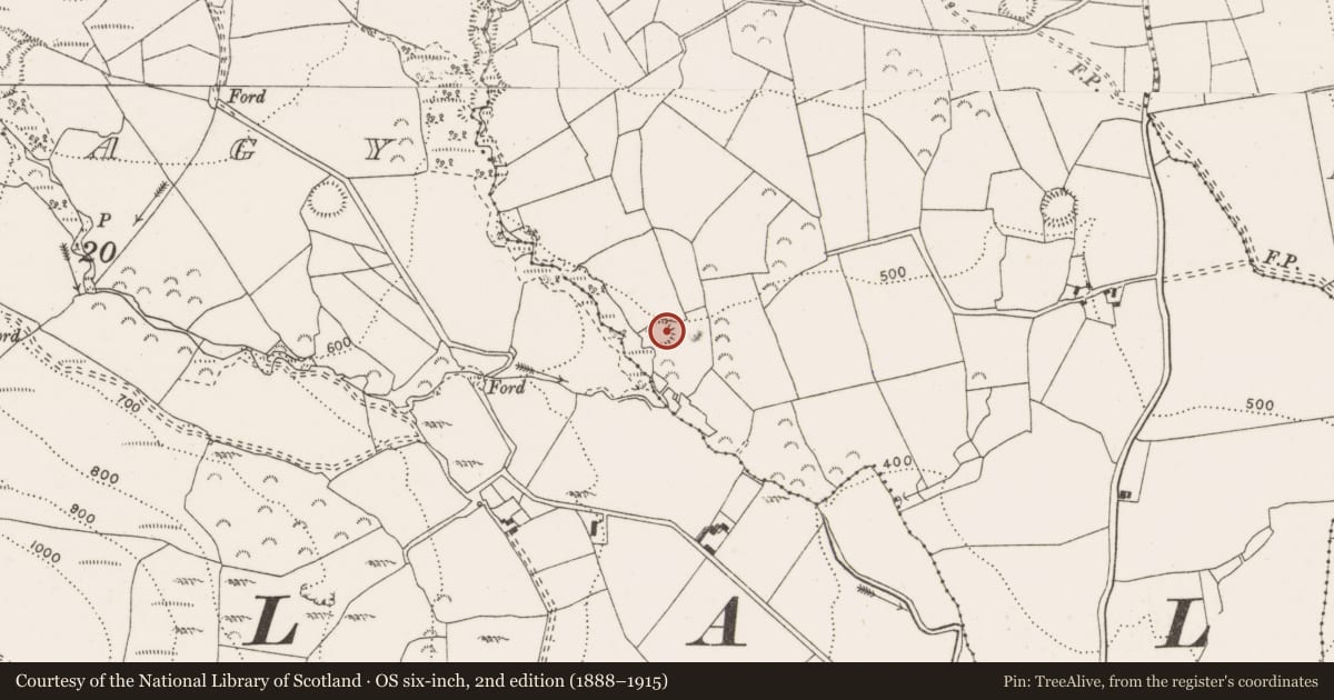 Ordnance Survey six-inch map, 2nd edition (1888–1915) covering the location of Enclosure, Feenlea, County Clare, with a pin at the register's coordinates