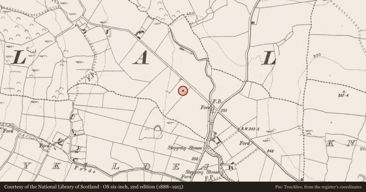 Ordnance Survey six-inch map, 2nd edition (1888–1915) covering the location of Enclosure, Gortmagy, County Clare, with a pin at the register's coordinates