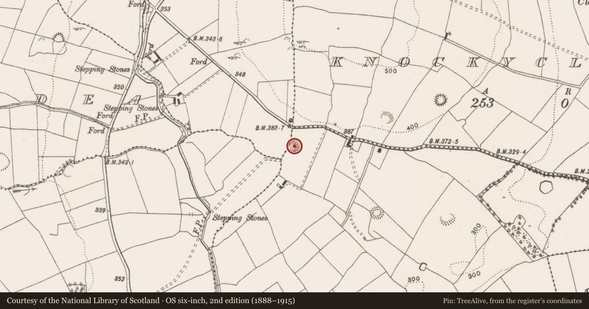 Ordnance Survey six-inch map, 2nd edition (1888–1915) covering the location of Enclosure, Creeveroe, County Clare, with a pin at the register's coordinates