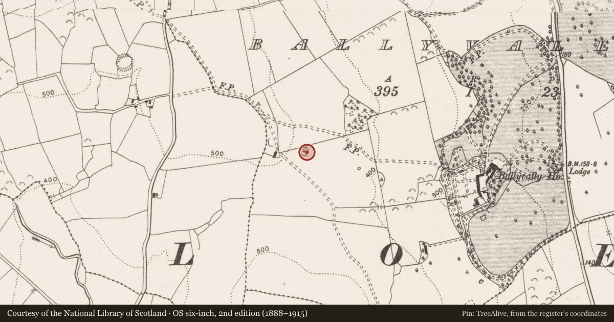 Ordnance Survey six-inch map, 2nd edition (1888–1915) covering the location of Enclosure, Ballyvally, County Clare, with a pin at the register's coordinates