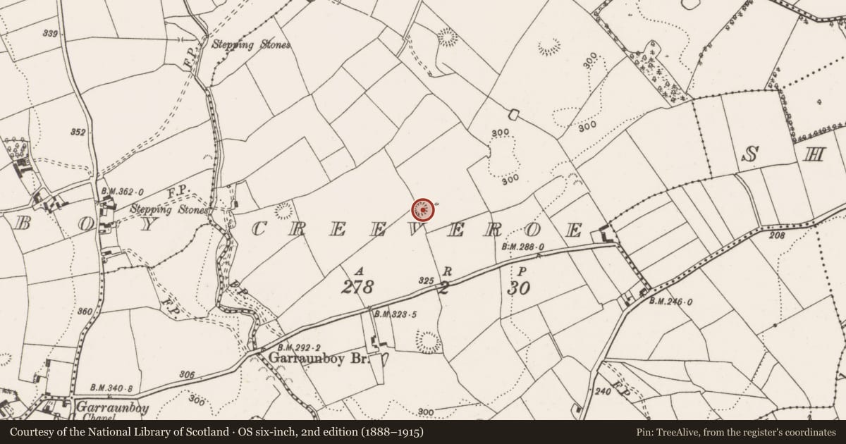 Ordnance Survey six-inch map, 2nd edition (1888–1915) covering the location of Enclosure, Creeveroe, County Clare, with a pin at the register's coordinates