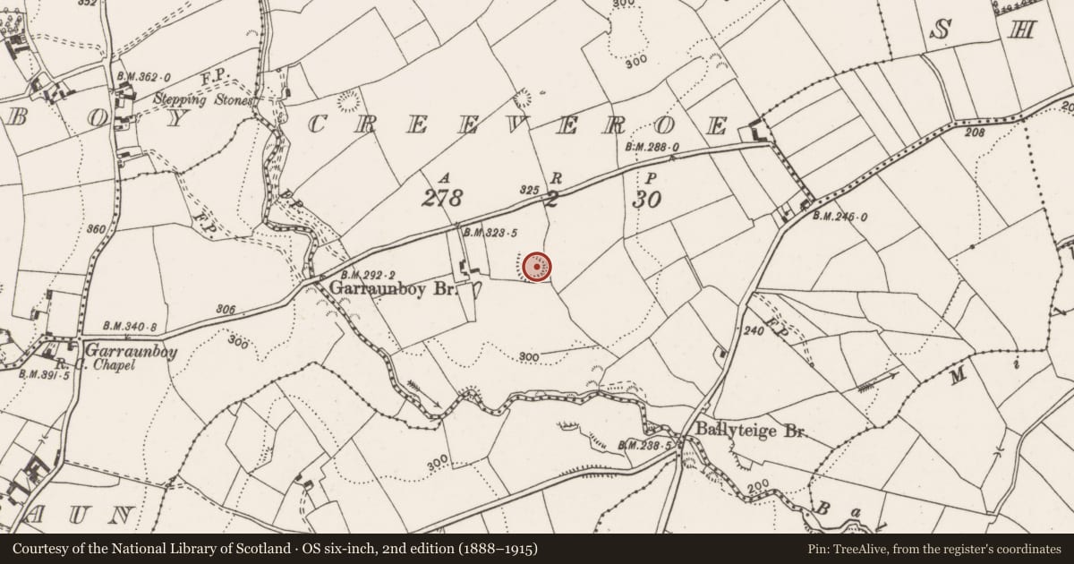 Ordnance Survey six-inch map, 2nd edition (1888–1915) covering the location of Enclosure, Creeveroe, County Clare, with a pin at the register's coordinates