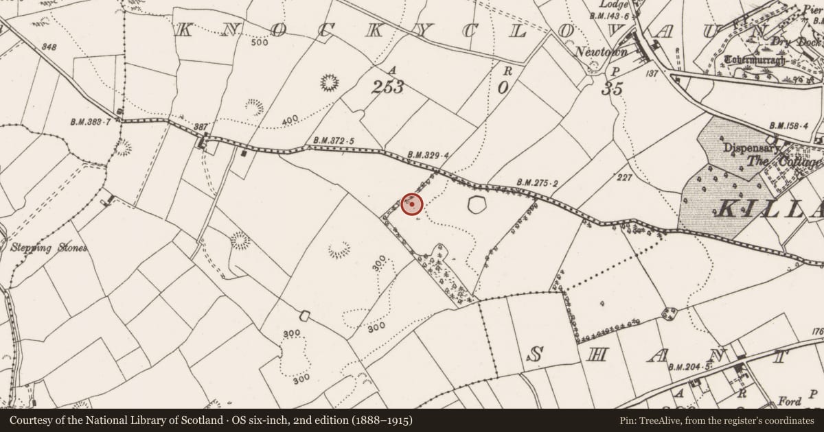 Ordnance Survey six-inch map, 2nd edition (1888–1915) covering the location of Standing stone, Creeveroe, County Clare, with a pin at the register's coordinates