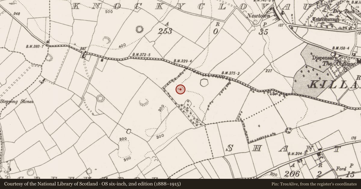 Ordnance Survey six-inch map, 2nd edition (1888–1915) covering the location of Standing stone, Creeveroe, County Clare, with a pin at the register's coordinates