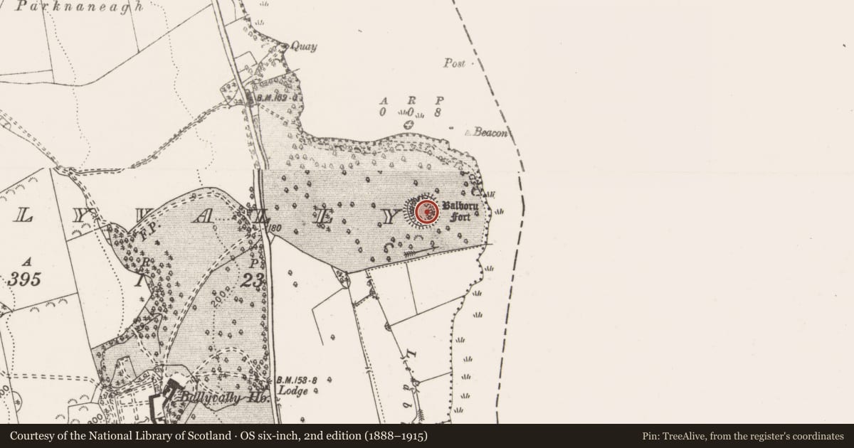 Ordnance Survey six-inch map, 2nd edition (1888–1915) covering the location of Castle - ringwork, Ballyvally, County Clare, with a pin at the register's coordinates