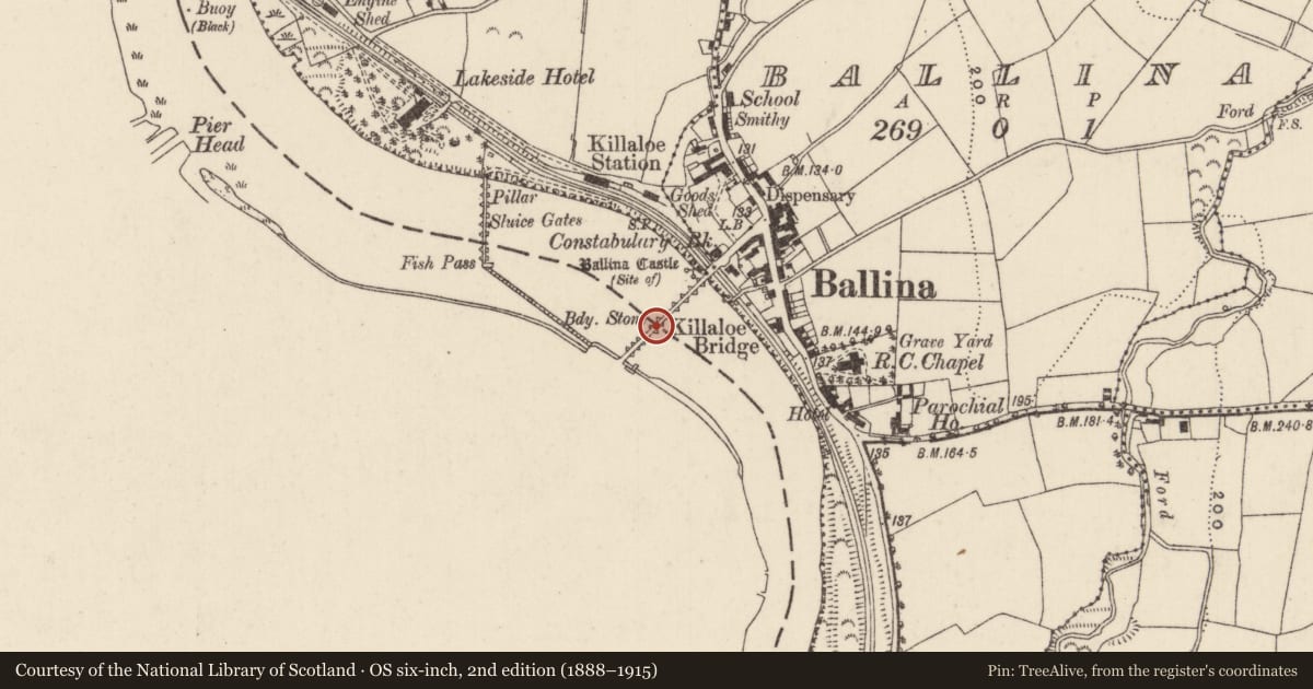 Ordnance Survey six-inch map, 2nd edition (1888–1915) covering the location of Bridge, Shantraud, County Clare, with a pin at the register's coordinates