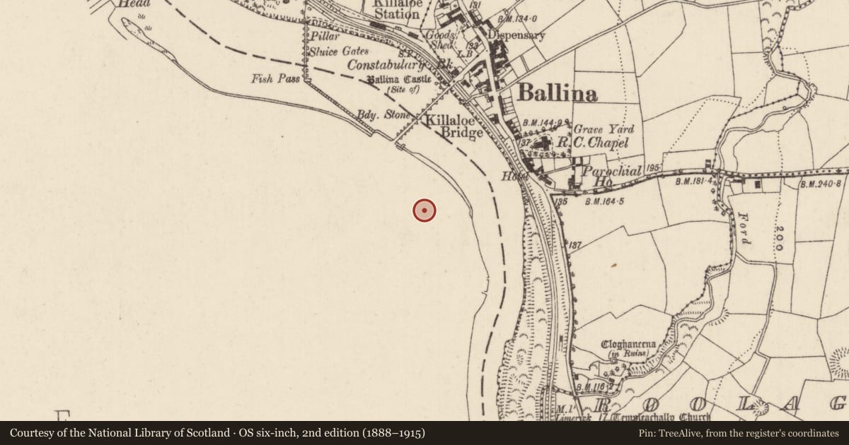 Ordnance Survey six-inch map, 2nd edition (1888–1915) covering the location of Cathedral, Shantraud, County Clare, with a pin at the register's coordinates