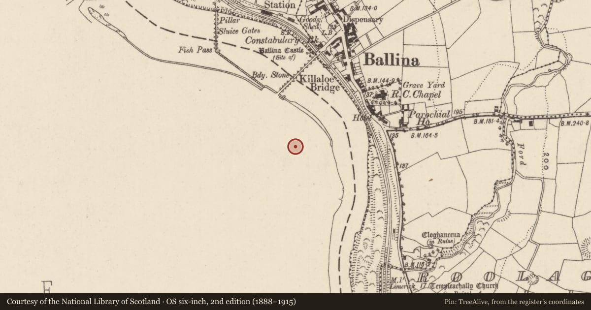 Ordnance Survey six-inch map, 2nd edition (1888–1915) covering the location of Cross - High cross, Shantraud, County Clare, with a pin at the register's coordinates
