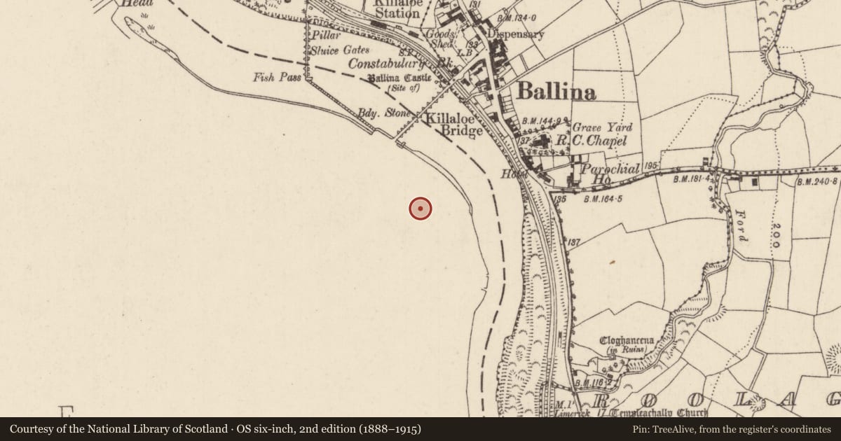 Ordnance Survey six-inch map, 2nd edition (1888–1915) covering the location of Cross - High cross (present location), Shantraud, County Clare, with a pin at the register's coordinates