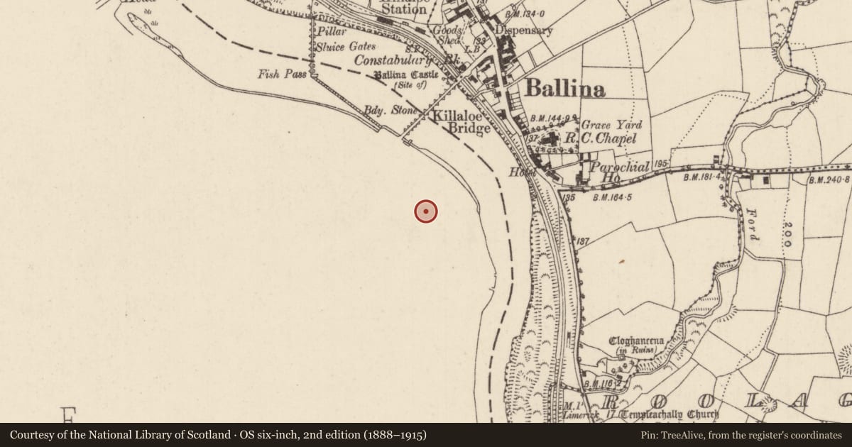 Ordnance Survey six-inch map, 2nd edition (1888–1915) covering the location of Cross - High cross, Shantraud, County Clare, with a pin at the register's coordinates