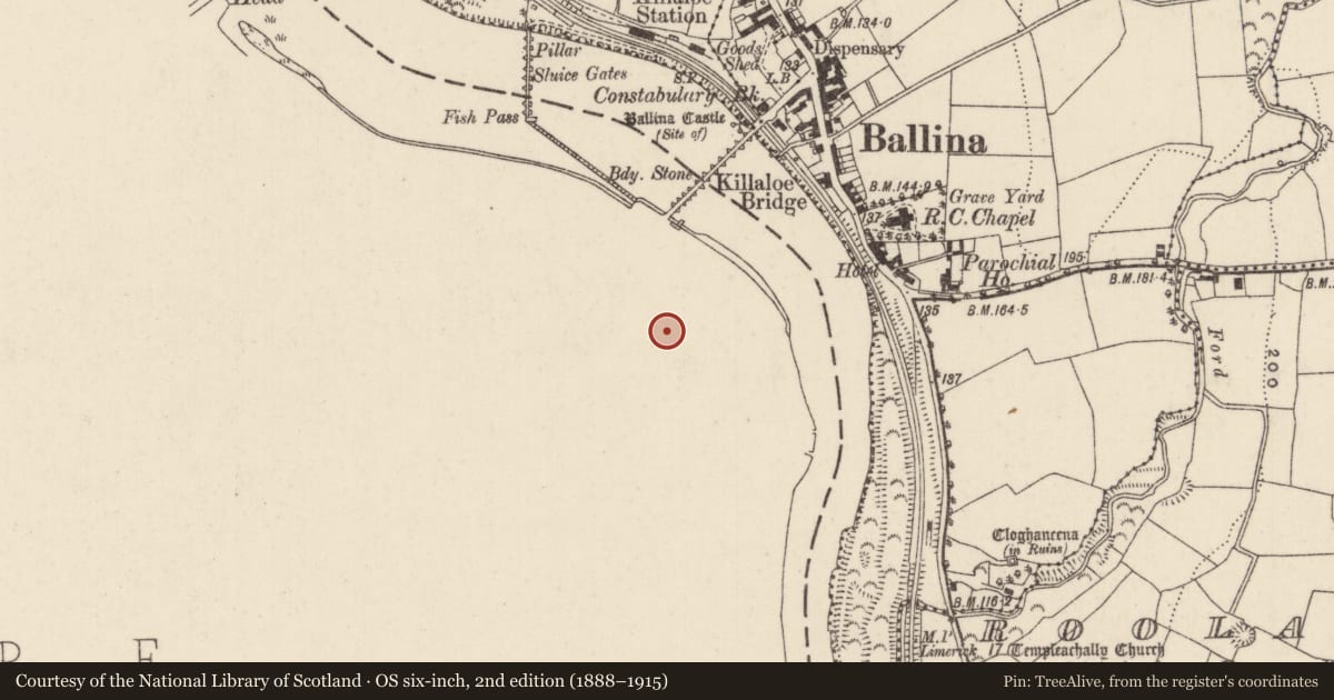 Ordnance Survey six-inch map, 2nd edition (1888–1915) covering the location of Sheela-na-gig, Shantraud, County Clare, with a pin at the register's coordinates