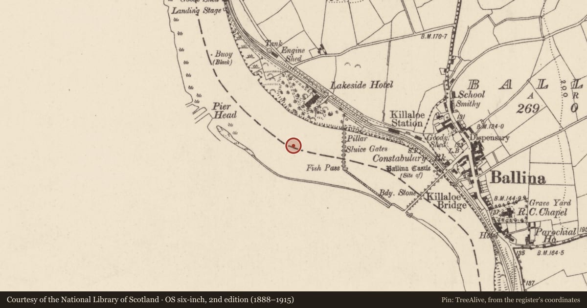 Ordnance Survey six-inch map, 2nd edition (1888–1915) covering the location of Weir - fish, River Shannon, County Clare, with a pin at the register's coordinates