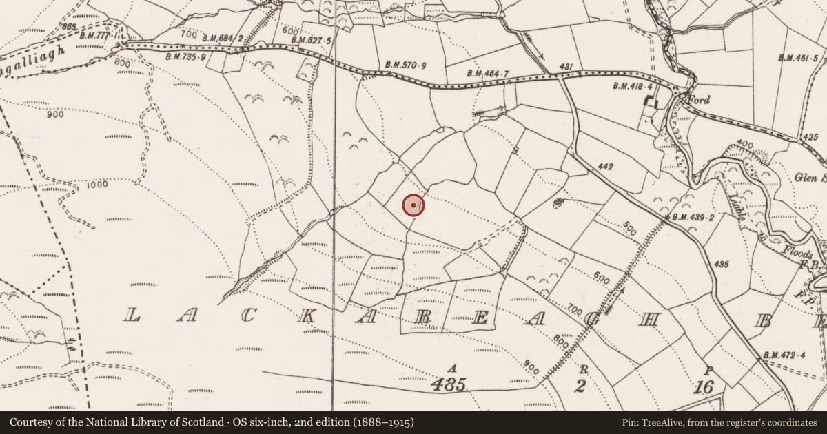 Ordnance Survey six-inch map, 2nd edition (1888–1915) covering the location of Fulacht fia, Lackareagh Beg, County Clare, with a pin at the register's coordinates
