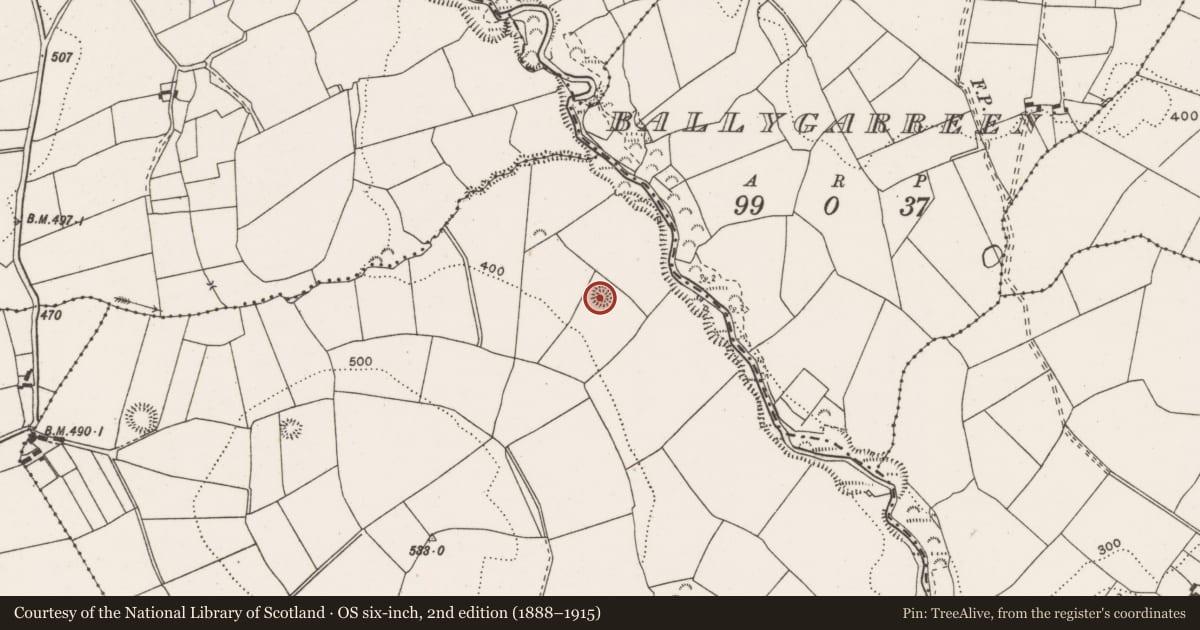 Ordnance Survey six-inch map, 2nd edition (1888–1915) covering the location of Enclosure, Knockaderreen, County Clare, with a pin at the register's coordinates