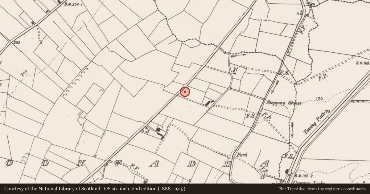 Ordnance Survey six-inch map, 2nd edition (1888–1915) covering the location of Standing stone, Cloonfadda, County Clare, with a pin at the register's coordinates
