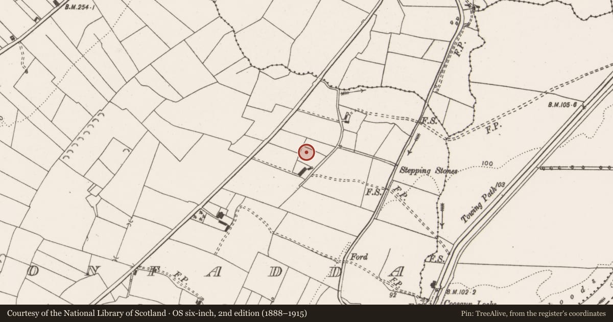 Ordnance Survey six-inch map, 2nd edition (1888–1915) covering the location of Standing stone, Cloonfadda, County Clare, with a pin at the register's coordinates