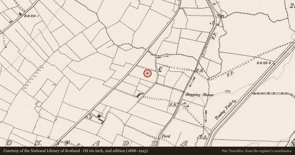 Ordnance Survey six-inch map, 2nd edition (1888–1915) covering the location of Standing stone, Cloonfadda, County Clare, with a pin at the register's coordinates