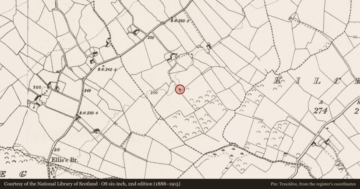 Ordnance Survey six-inch map, 2nd edition (1888–1915) covering the location of Standing stone, Kilroughil, County Clare, with a pin at the register's coordinates