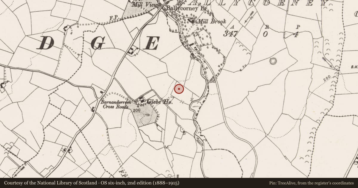Ordnance Survey six-inch map, 2nd edition (1888–1915) covering the location of Megalithic structure, Ross, County Clare, with a pin at the register's coordinates