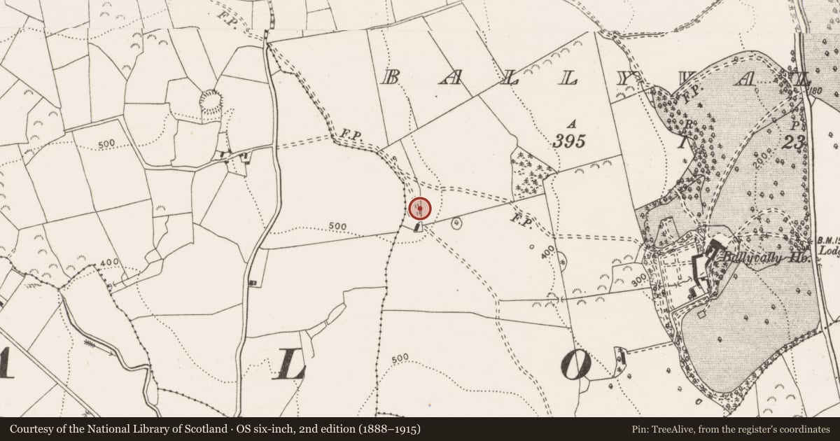 Ordnance Survey six-inch map, 2nd edition (1888–1915) covering the location of Enclosure, Ballyvally, County Clare, with a pin at the register's coordinates