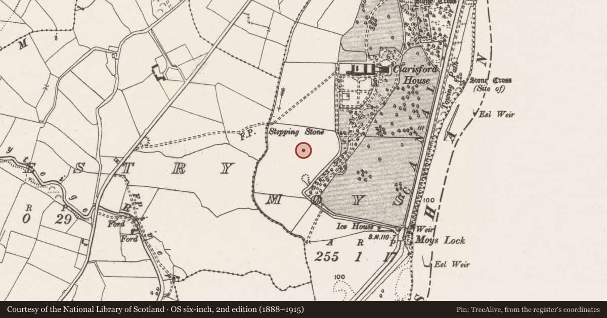 Ordnance Survey six-inch map, 2nd edition (1888–1915) covering the location of Standing stone, Moys, County Clare, with a pin at the register's coordinates