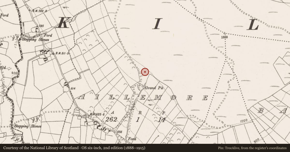 Ordnance Survey six-inch map, 2nd edition (1888–1915) covering the location of Rock art, Aillemore, County Clare, with a pin at the register's coordinates