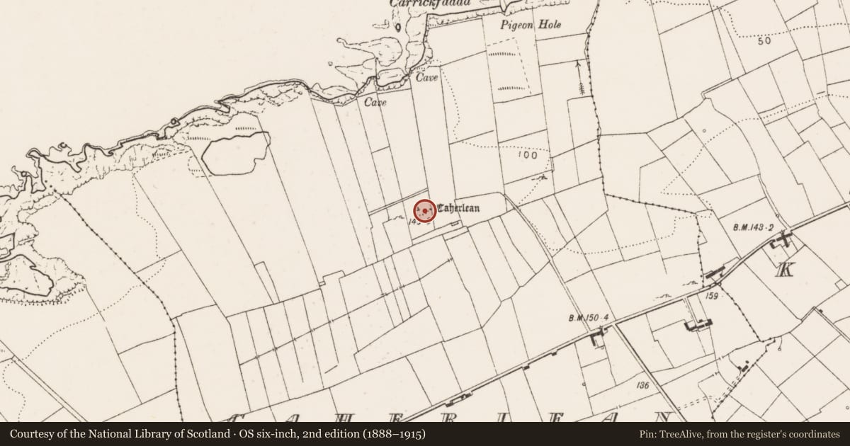 Ordnance Survey six-inch map, 2nd edition (1888–1915) covering the location of Ringfort - cashel, Caherlean, County Clare, with a pin at the register's coordinates