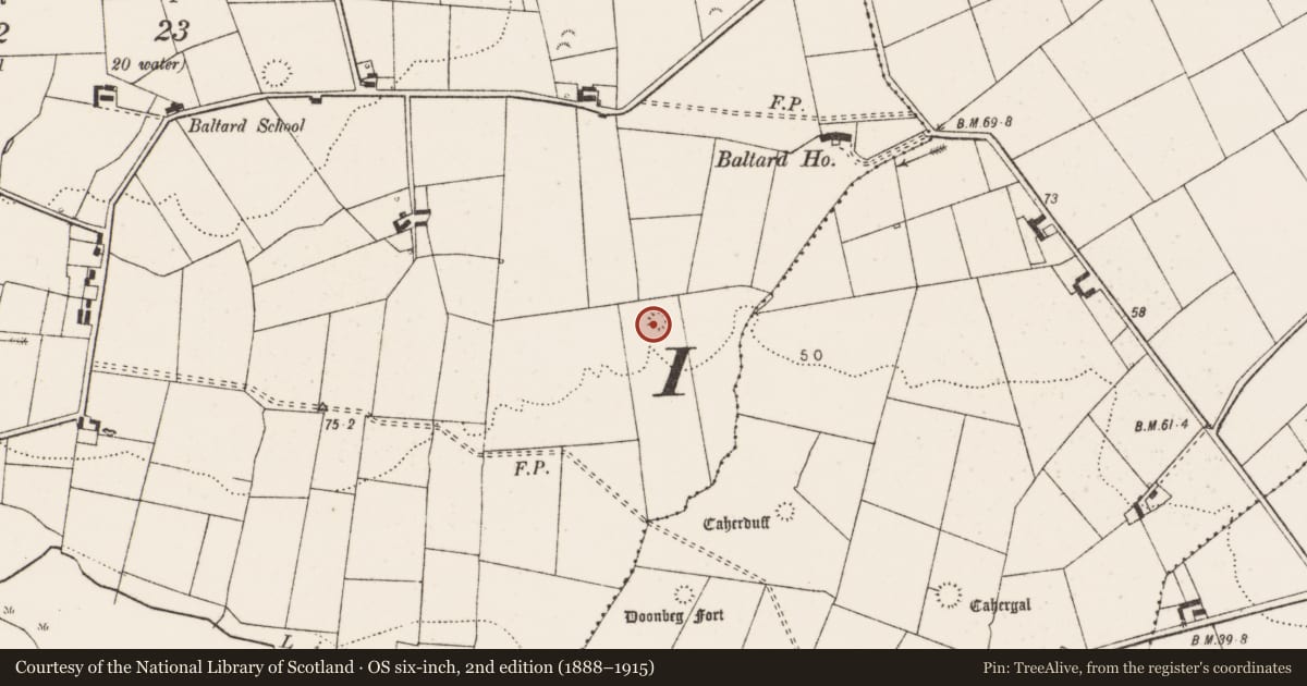 Ordnance Survey six-inch map, 2nd edition (1888–1915) covering the location of Ringfort - rath, Ballard, County Clare, with a pin at the register's coordinates