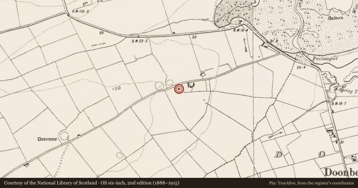 Ordnance Survey six-inch map, 2nd edition (1888–1915) covering the location of Ringfort - rath, Doonmore, County Clare, with a pin at the register's coordinates