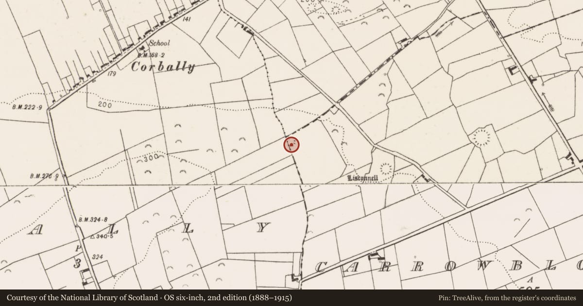 Ordnance Survey six-inch map, 2nd edition (1888–1915) covering the location of Ringfort - rath, Carrowblough More, County Clare, with a pin at the register's coordinates