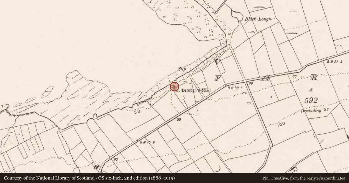 Ordnance Survey six-inch map, 2nd edition (1888–1915) covering the location of Ritual site - holy well, Farrihy, County Clare, with a pin at the register's coordinates