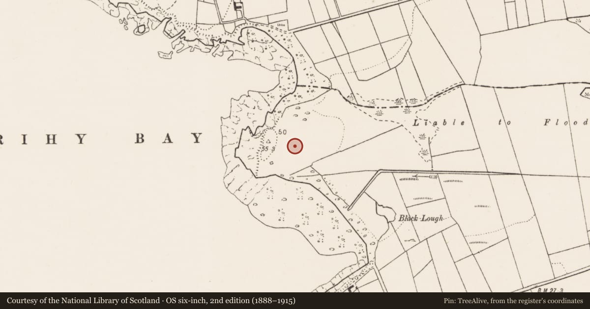 Ordnance Survey six-inch map, 2nd edition (1888–1915) covering the location of Promontory fort - coastal, Farrihy, County Clare, with a pin at the register's coordinates