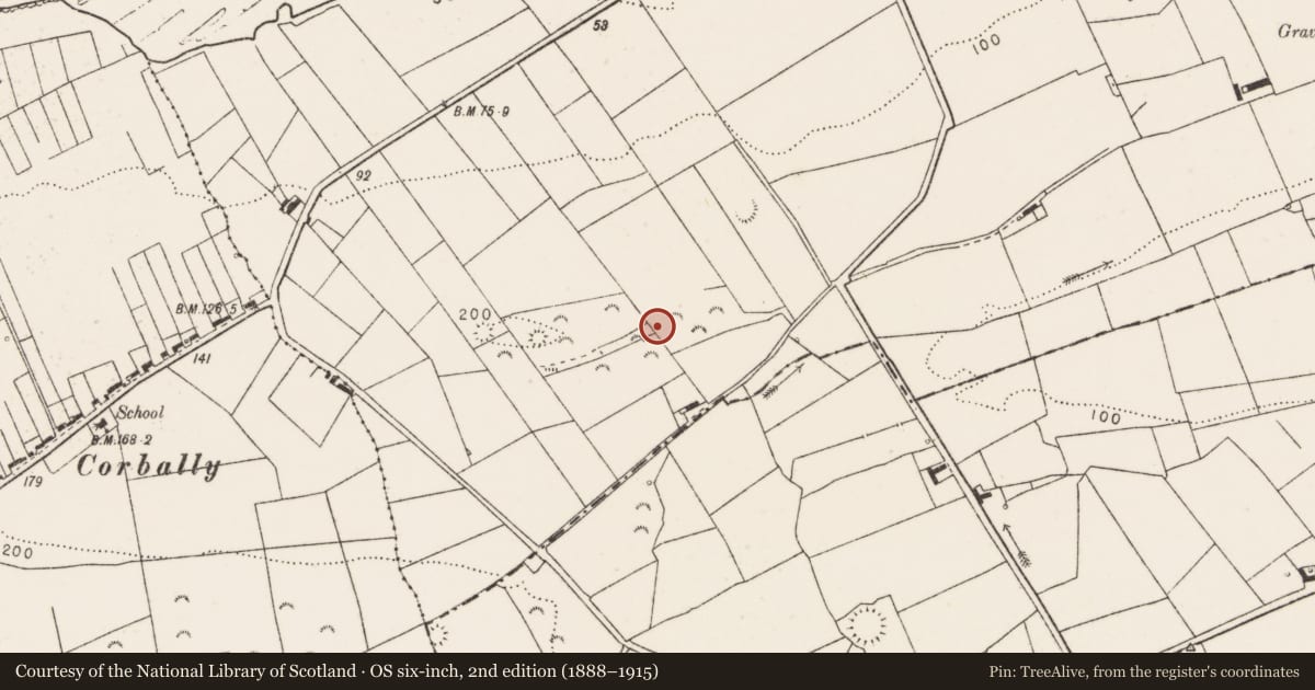 Ordnance Survey six-inch map, 2nd edition (1888–1915) covering the location of Ringfort - rath, Farrihy, County Clare, with a pin at the register's coordinates
