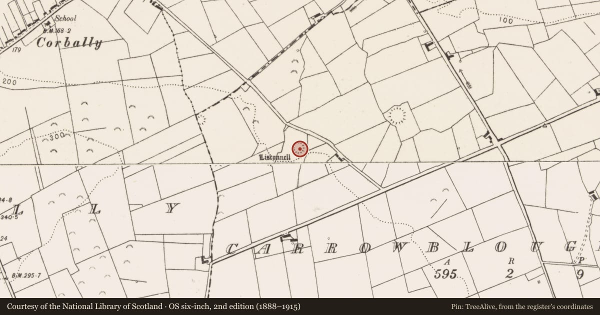 Ordnance Survey six-inch map, 2nd edition (1888–1915) covering the location of Ringfort - rath, Carrowblough More, County Clare, with a pin at the register's coordinates