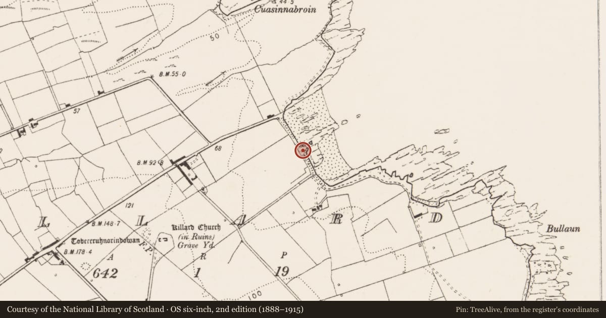 Ordnance Survey six-inch map, 2nd edition (1888–1915) covering the location of Promontory fort - coastal, Killard, County Clare, with a pin at the register's coordinates
