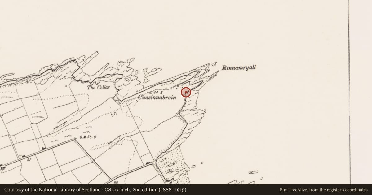 Ordnance Survey six-inch map, 2nd edition (1888–1915) covering the location of Promontory fort - coastal, Killard, County Clare, with a pin at the register's coordinates