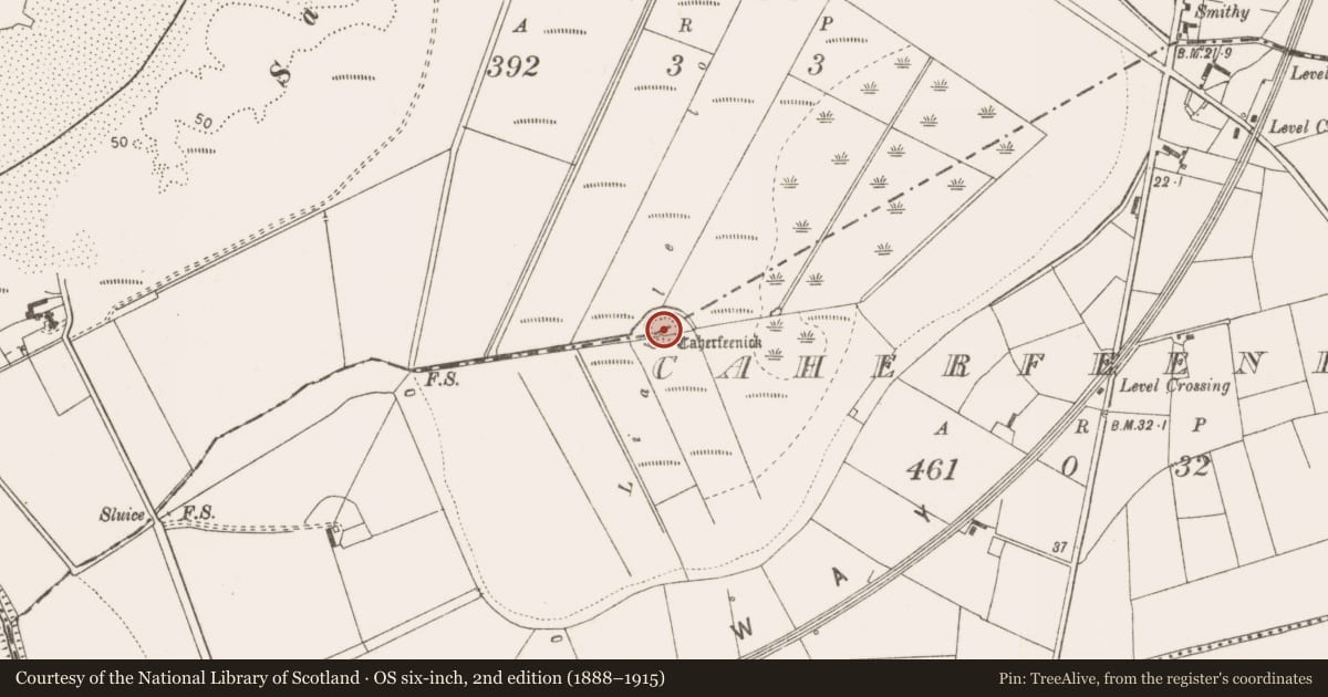 Ordnance Survey six-inch map, 2nd edition (1888–1915) covering the location of Ringfort - unclassified, Caherfeenick North, Carrowmore, County Clare, with a pin at the register's coordinates