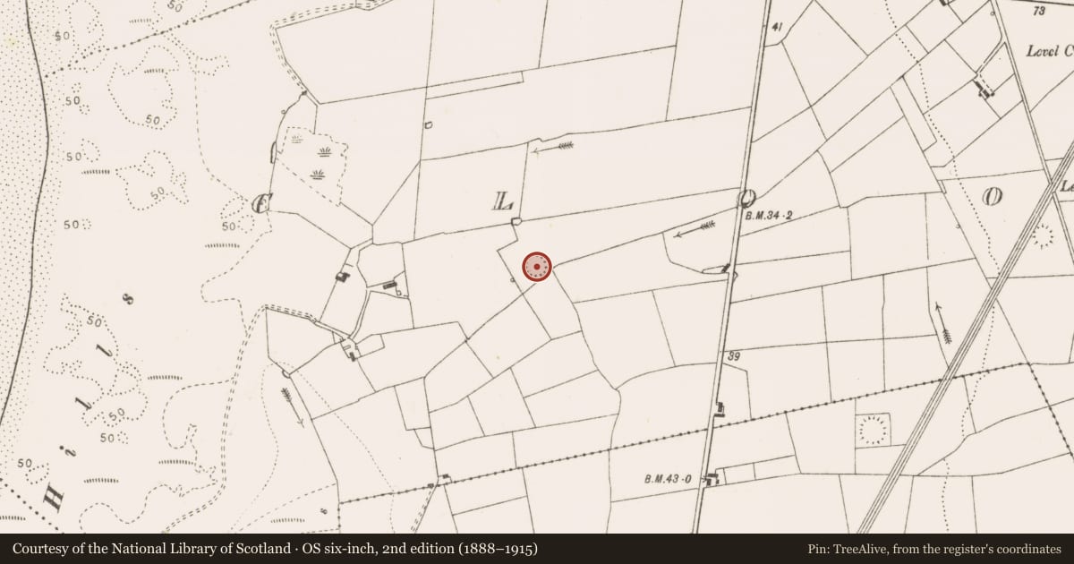 Ordnance Survey six-inch map, 2nd edition (1888–1915) covering the location of Ringfort - rath, Cloonmore, County Clare, with a pin at the register's coordinates