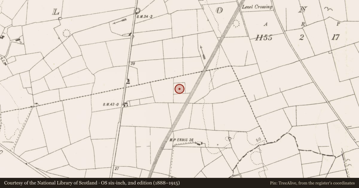 Ordnance Survey six-inch map, 2nd edition (1888–1915) covering the location of Ringfort - rath, Carrowmore, County Clare, with a pin at the register's coordinates