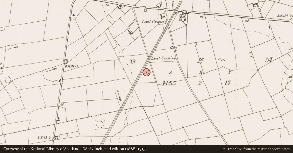 Ordnance Survey six-inch map, 2nd edition (1888–1915) covering the location of Ringfort - rath, Cloonmore, County Clare, with a pin at the register's coordinates