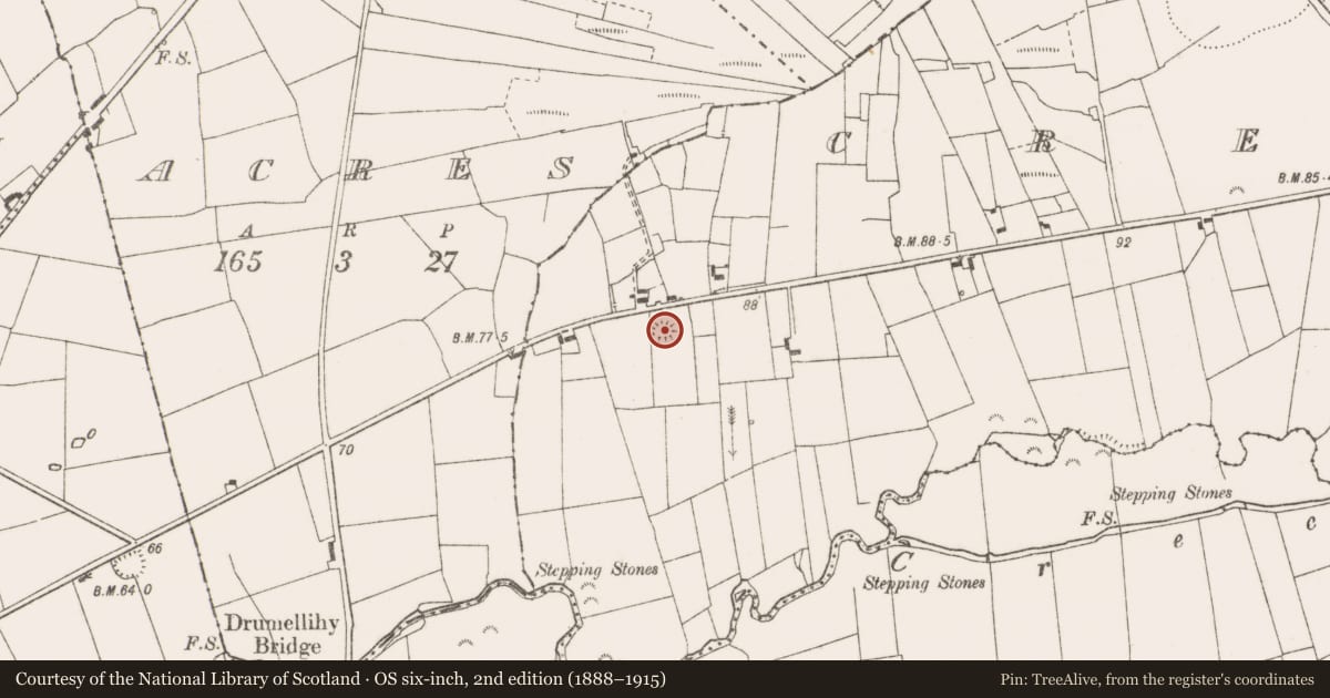 Ordnance Survey six-inch map, 2nd edition (1888–1915) covering the location of Ringfort - rath, Creegh South, County Clare, with a pin at the register's coordinates
