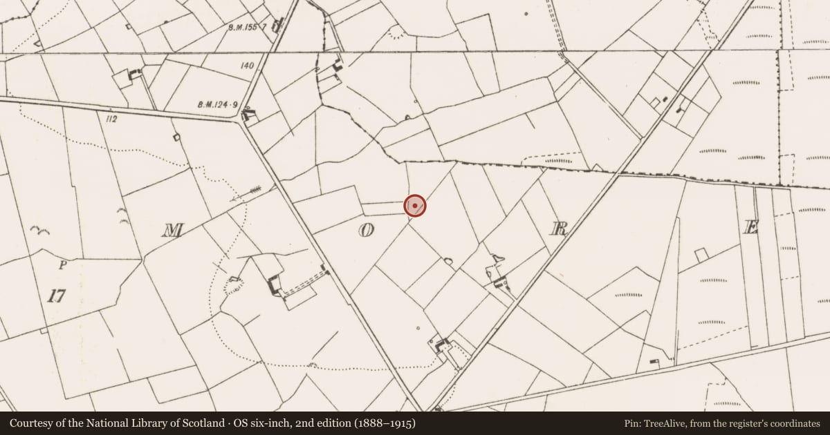 Ordnance Survey six-inch map, 2nd edition (1888–1915) covering the location of Ringfort - rath, Cloonmore, County Clare, with a pin at the register's coordinates