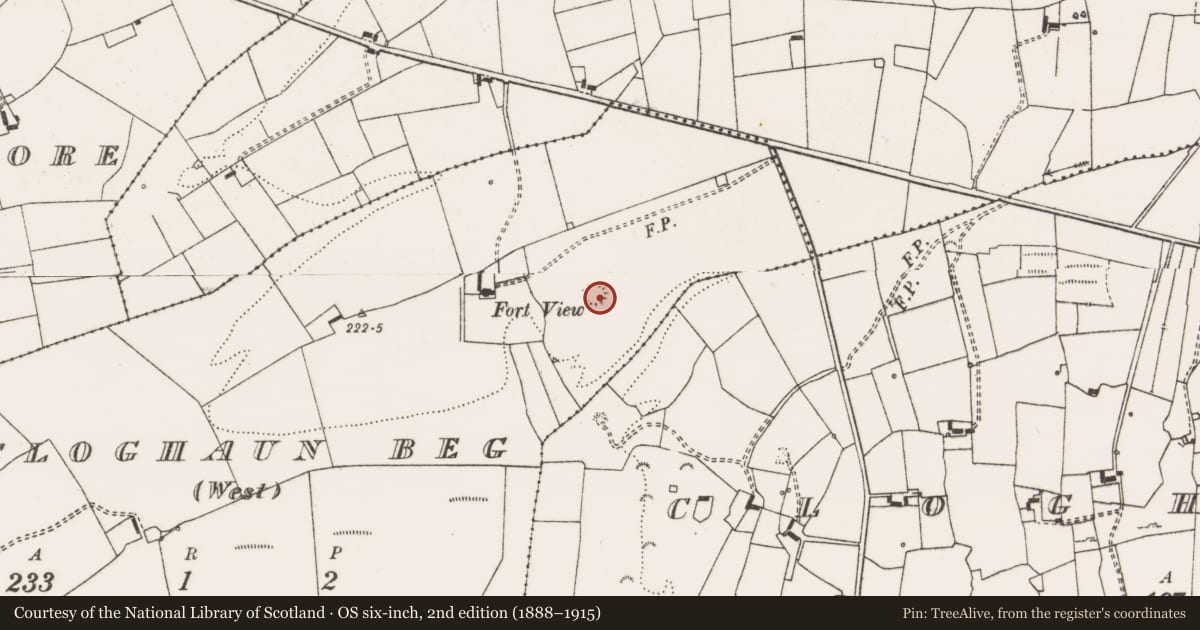 Ordnance Survey six-inch map, 2nd edition (1888–1915) covering the location of Ringfort - rath, Cloghaun Beg (West), County Clare, with a pin at the register's coordinates