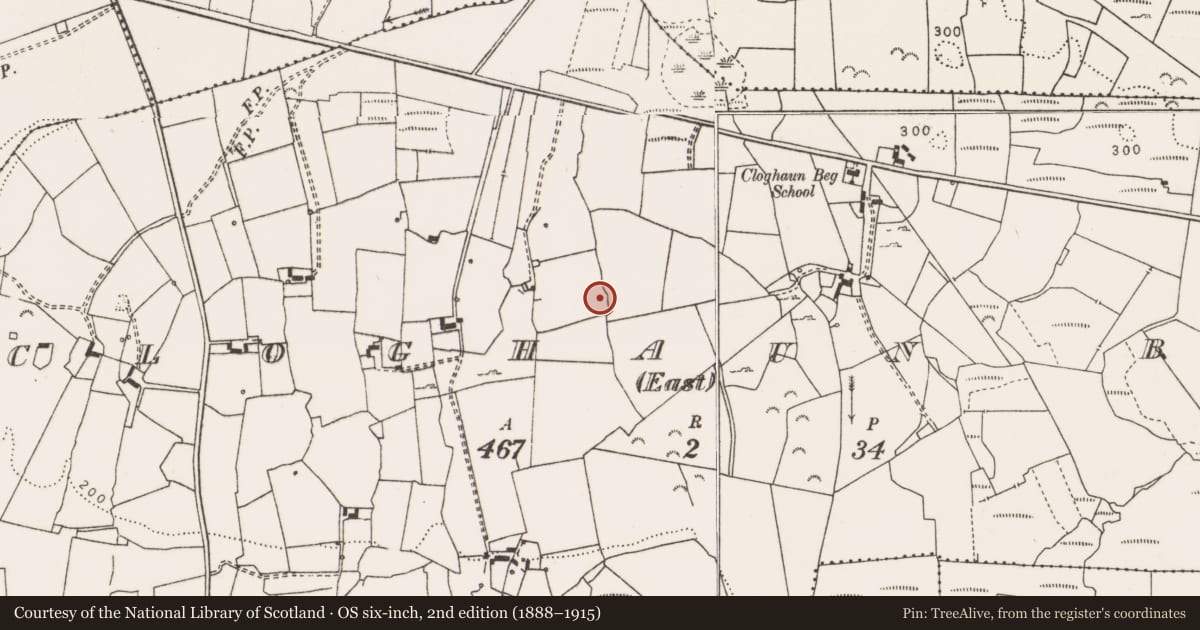 Ordnance Survey six-inch map, 2nd edition (1888–1915) covering the location of Ringfort - rath, Cloghaun Beg (East), County Clare, with a pin at the register's coordinates