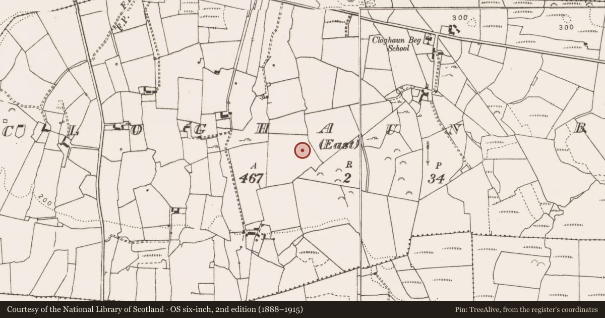 Ordnance Survey six-inch map, 2nd edition (1888–1915) covering the location of Hut site, Cloghaun Beg (East), County Clare, with a pin at the register's coordinates