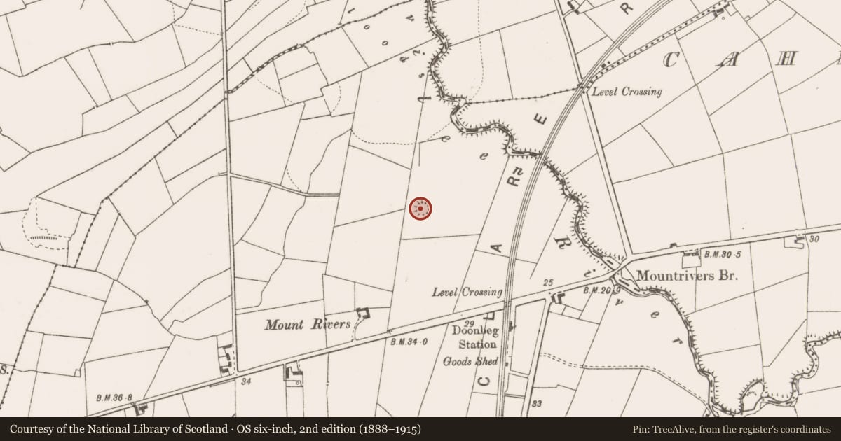 Ordnance Survey six-inch map, 2nd edition (1888–1915) covering the location of Ringfort - rath, Mountrivers, County Clare, with a pin at the register's coordinates