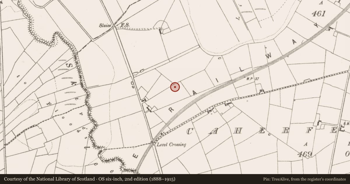 Ordnance Survey six-inch map, 2nd edition (1888–1915) covering the location of Enclosure, Caherfeenick North, County Clare, with a pin at the register's coordinates