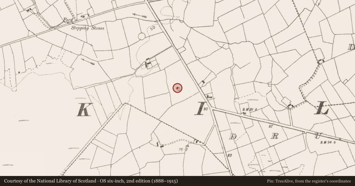 Ordnance Survey six-inch map, 2nd edition (1888–1915) covering the location of Ringfort - rath, Drumellihy (Cunningham), County Clare, with a pin at the register's coordinates