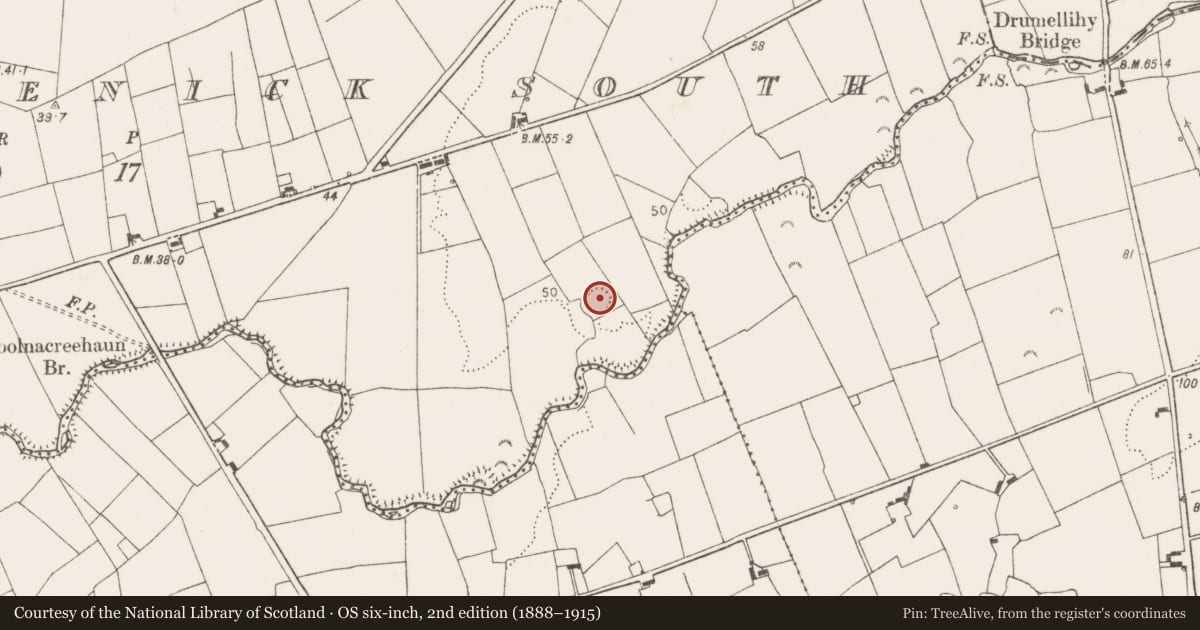 Ordnance Survey six-inch map, 2nd edition (1888–1915) covering the location of Ringfort - rath, Caherfeenick South, County Clare, with a pin at the register's coordinates